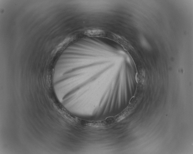 X0000073530763200608211829