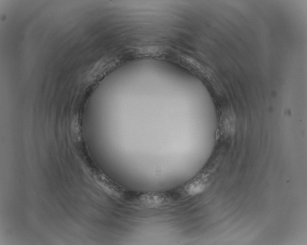 X0000073530764200608211830