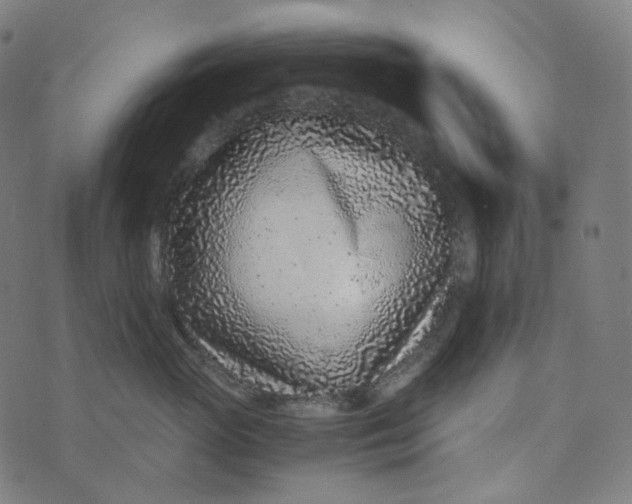 X0000073530765200608211830