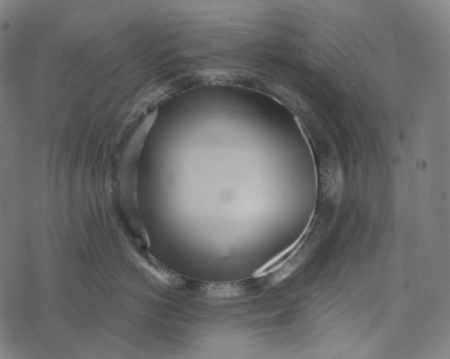 X0000073530766200608211830