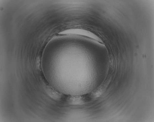 X0000073530767200608211830