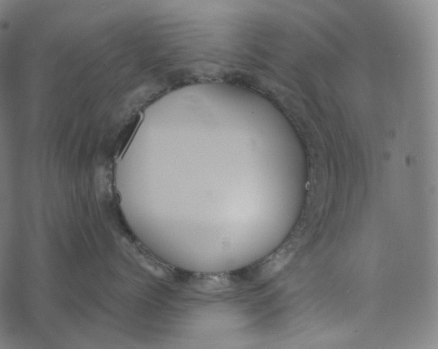 X0000073530768200608211830