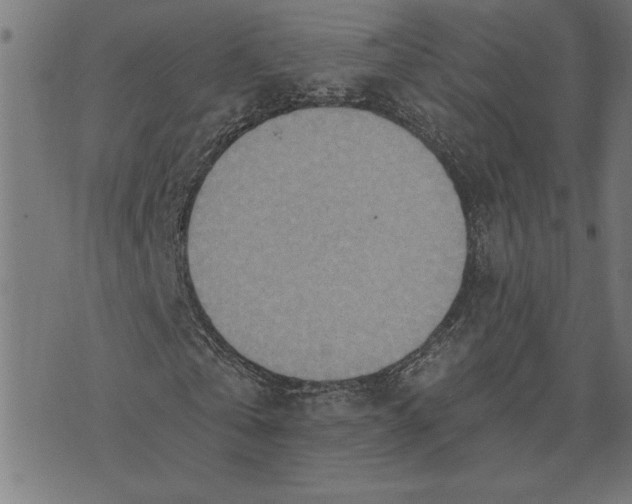 X0000073530769200608211829