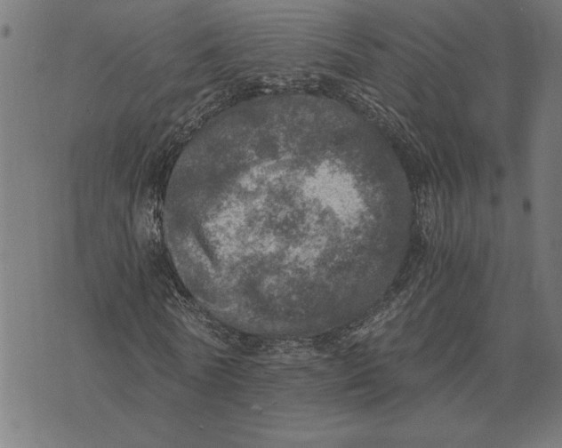 X0000073530770200608211829