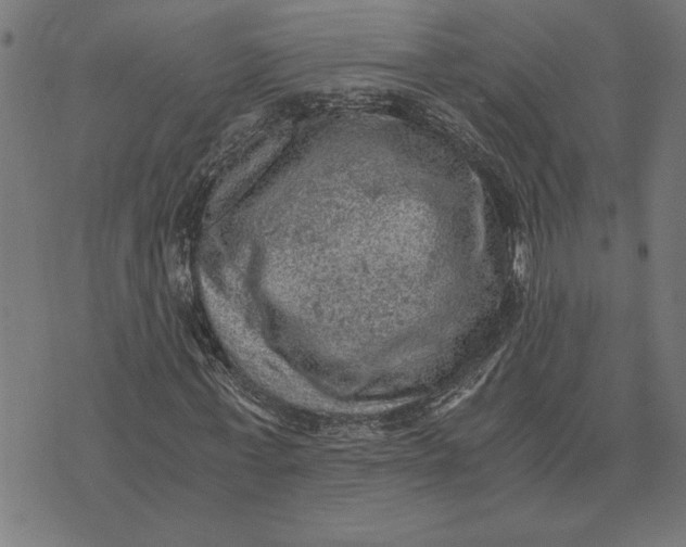 X0000073530771200608211829