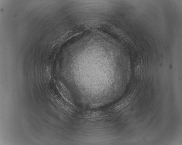 X0000073530772200608211829