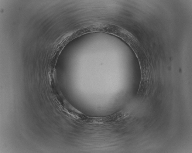 X0000073530773200608211829