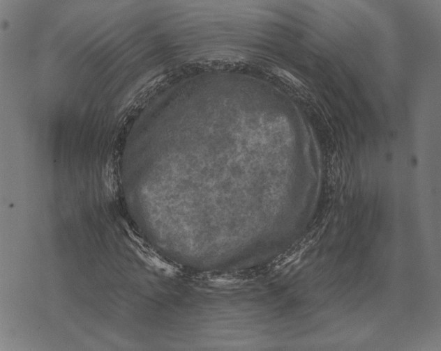 X0000073530774200608211829