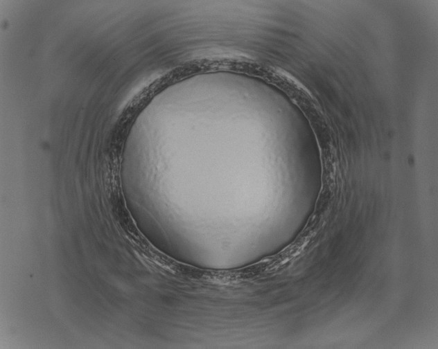 X0000073530775200608211829