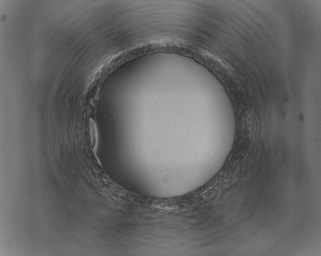 X0000073530776200608211829