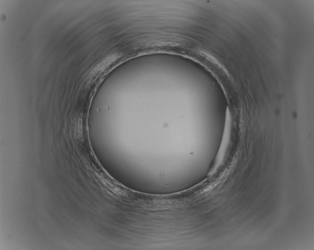 X0000073530777200608211829