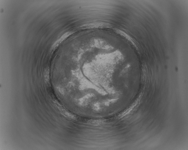 X0000073530778200608211829