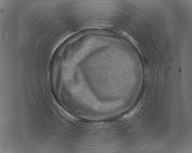 X0000073530779200608211829