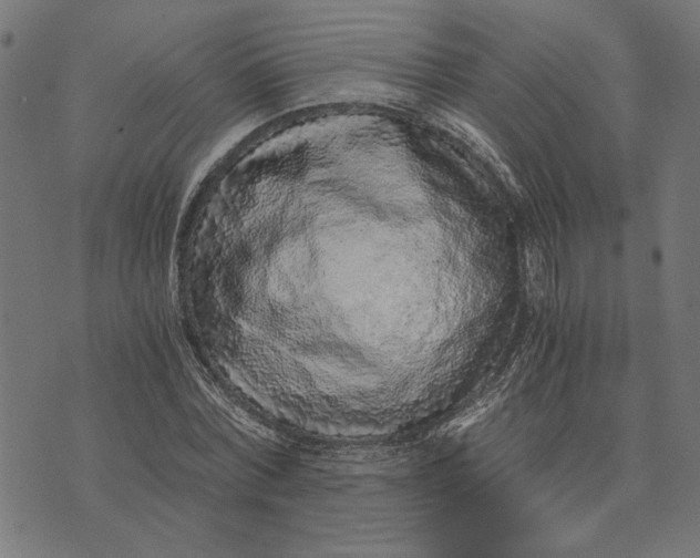 X0000073530780200608211829