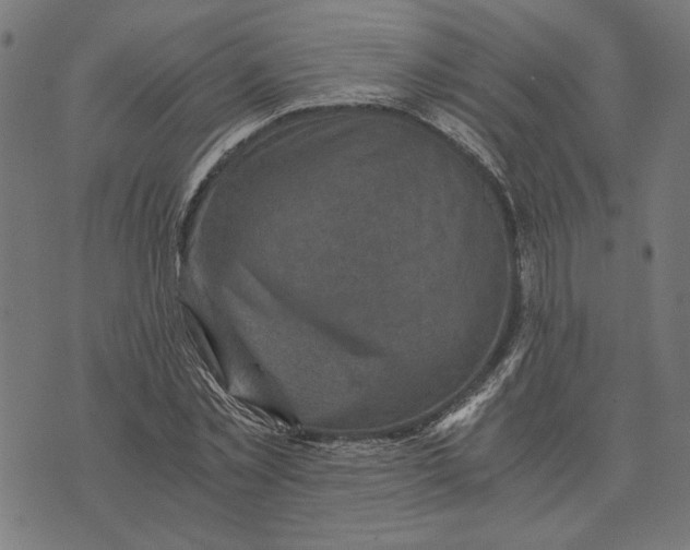 X0000073530781200608211829