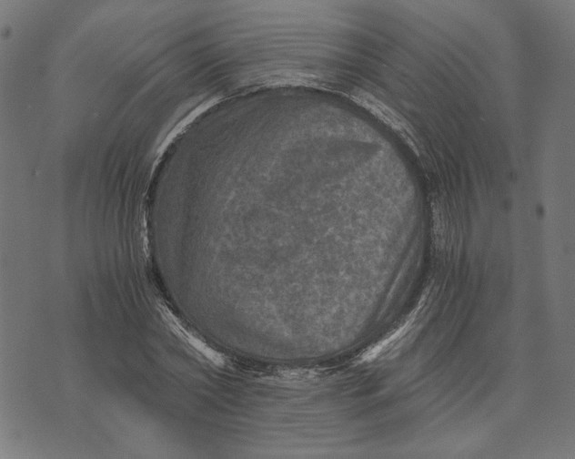 X0000073530782200608211829