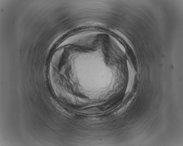 X0000073530783200608211829