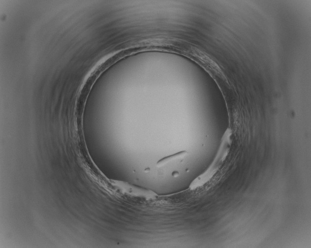 X0000073530784200608211829