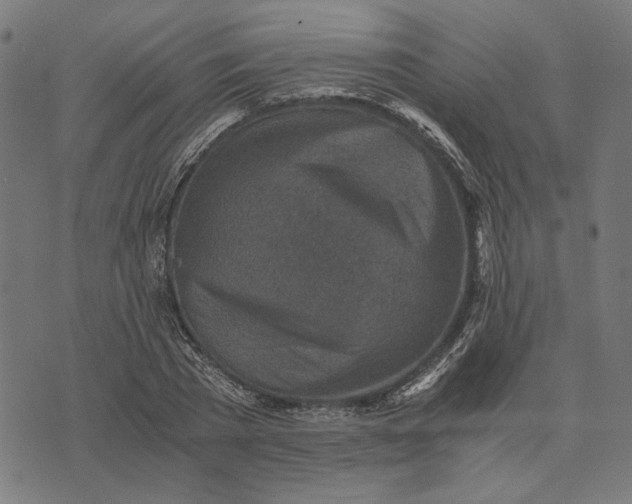 X0000073530785200608211829