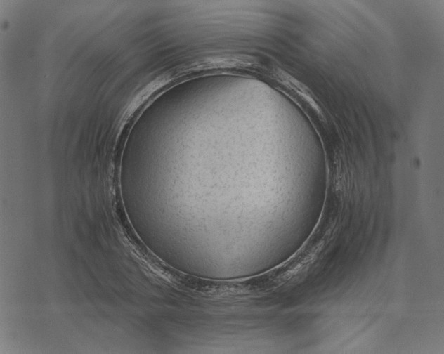 X0000073530786200608211829