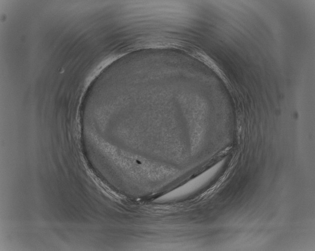 X0000073530787200608211829