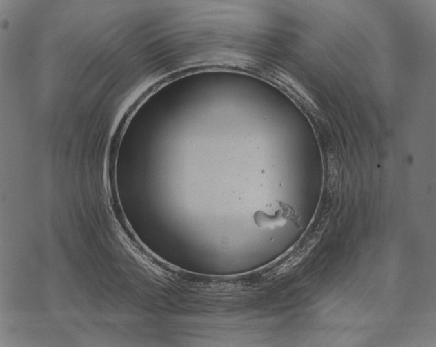 X0000073530788200608211828