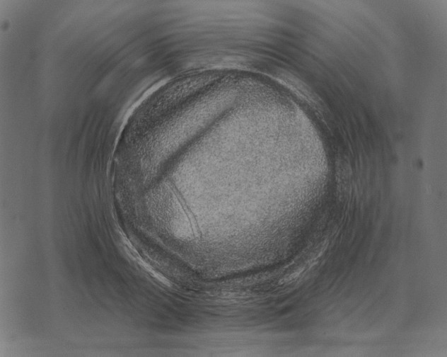 X0000073530790200608211828