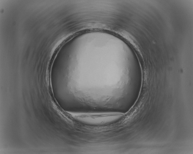 X0000073530791200608211828