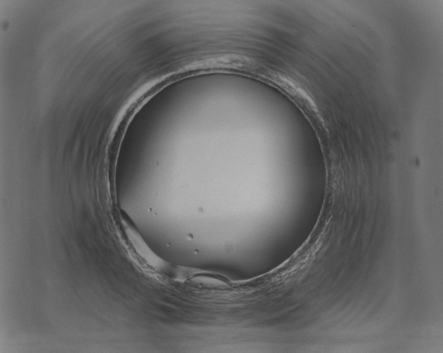 X0000073530792200608211828