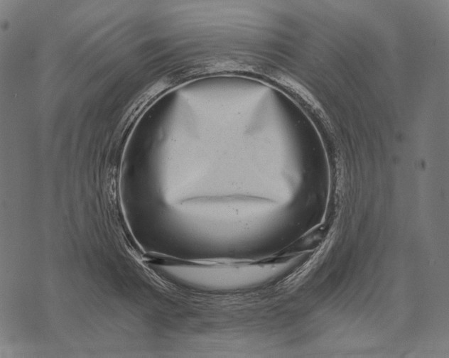 X0000073530793200608211828