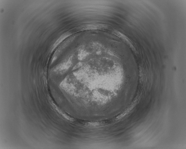 X0000073530794200608211828