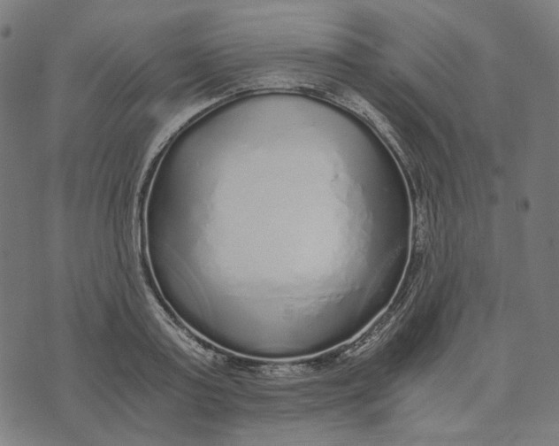 X0000073530795200608211828