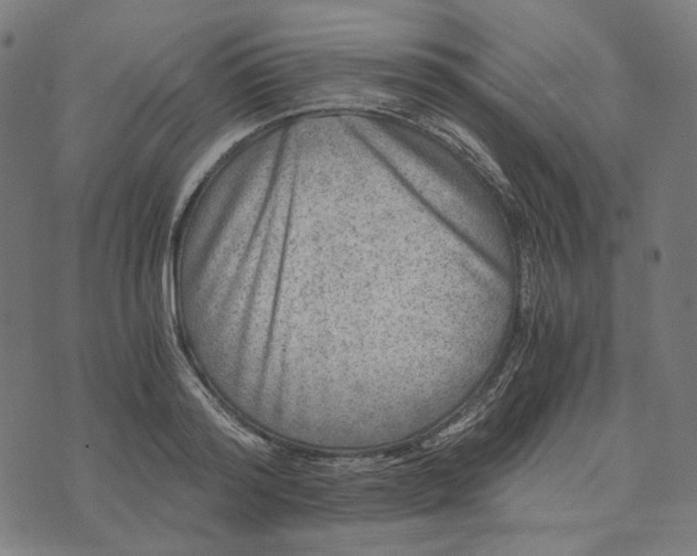 X0000073530796200608211828