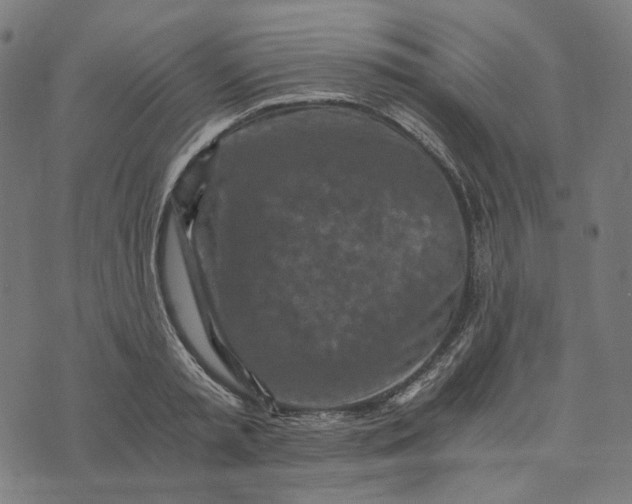 X0000073530797200608211828