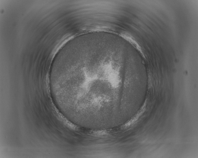 X0000073530798200608211828