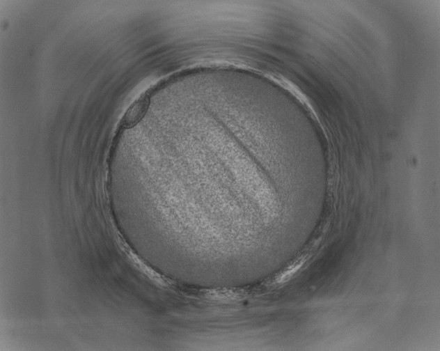 X0000073530799200608211828