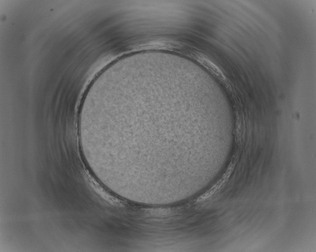 X0000073530800200608211828