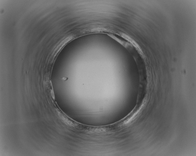 X0000073530801200608211828