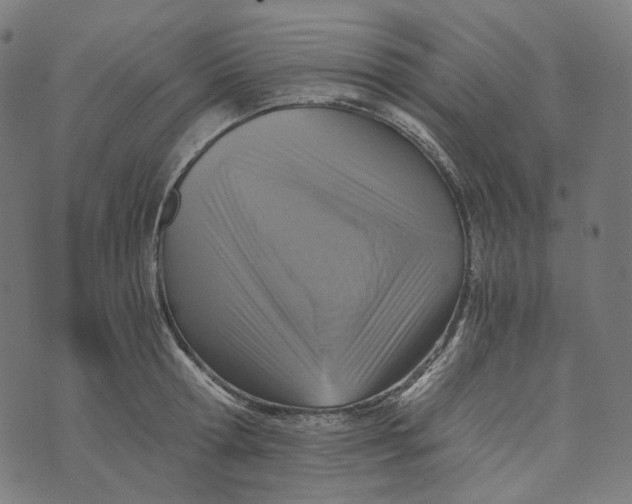 X0000073530802200608211828