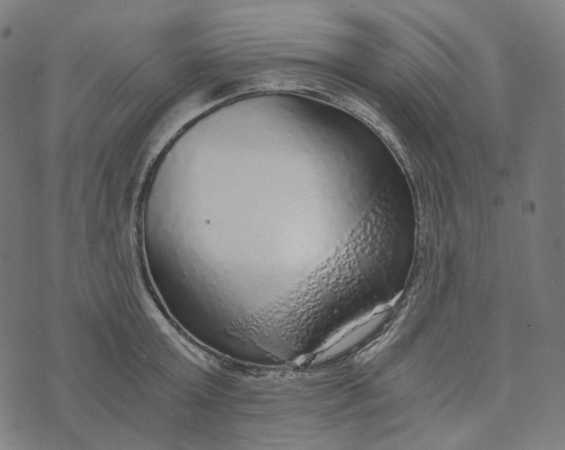 X0000073530803200608211828