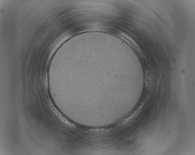 X0000073530804200608211828