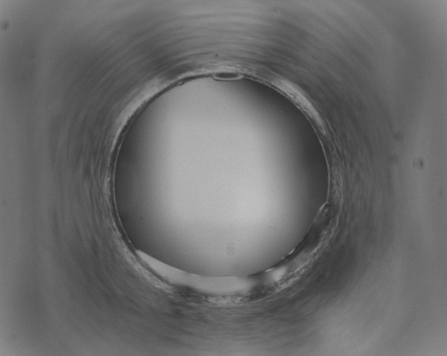 X0000073530805200608211828