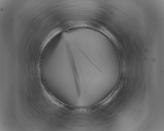 X0000073530806200608211828