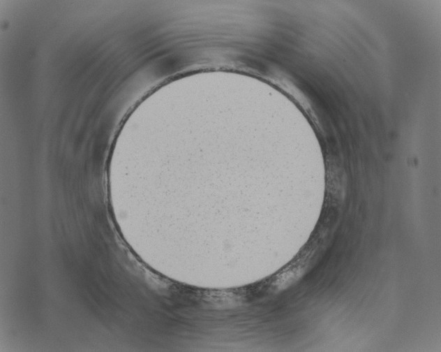 X0000073530807200608211828