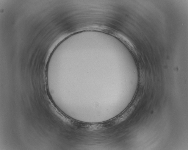 X0000073530808200608211828