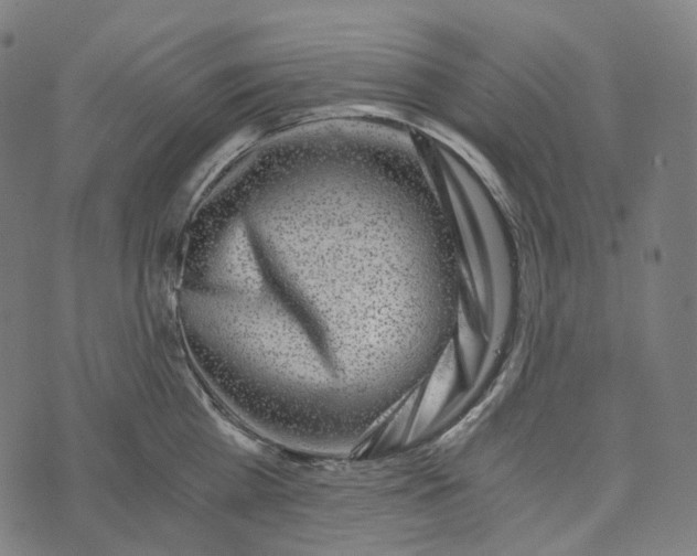 X0000073530809200608211828