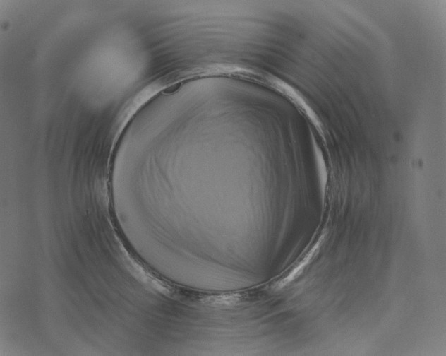 X0000073530810200608211828