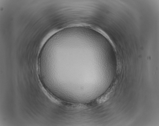 X0000073530811200608211828