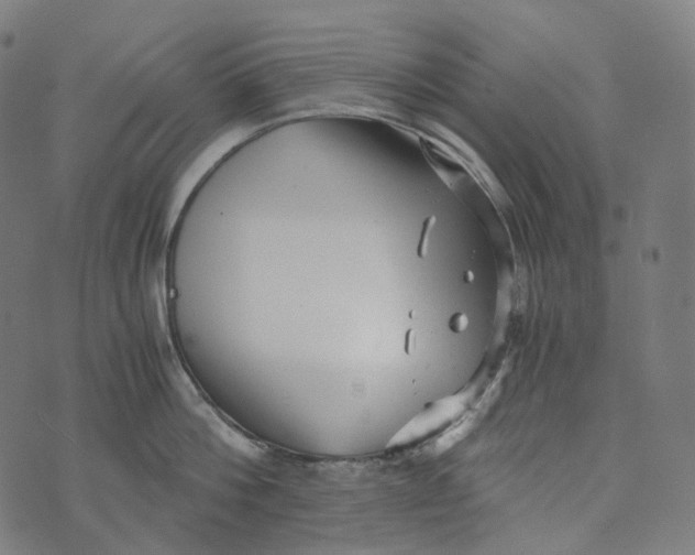 X0000073530812200608211828