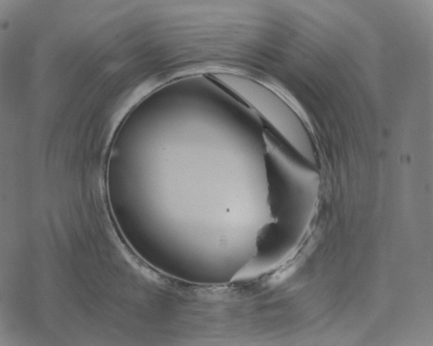 X0000073530813200608211828